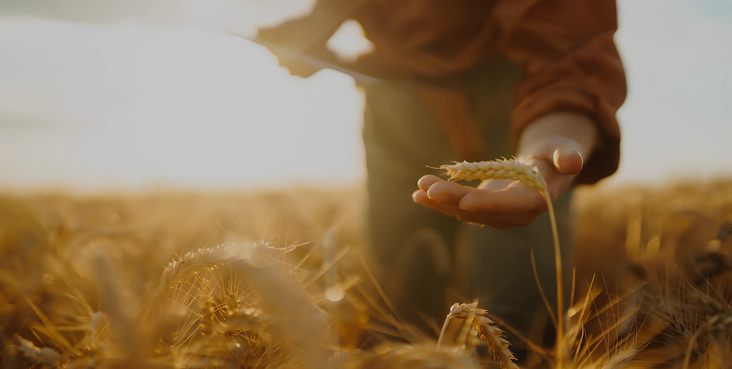 carte d'Afrique distribution